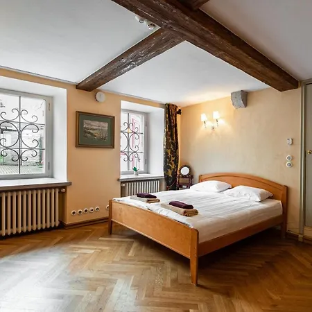 Airhome - Tree Spirit アパート タリン