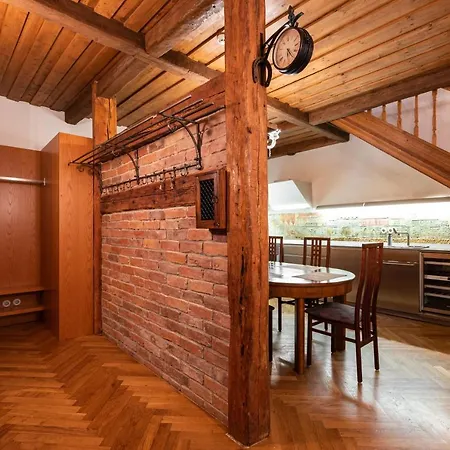 Airhome - Tree Spirit * Tallinn