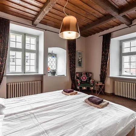 Airhome - Tree Spirit *