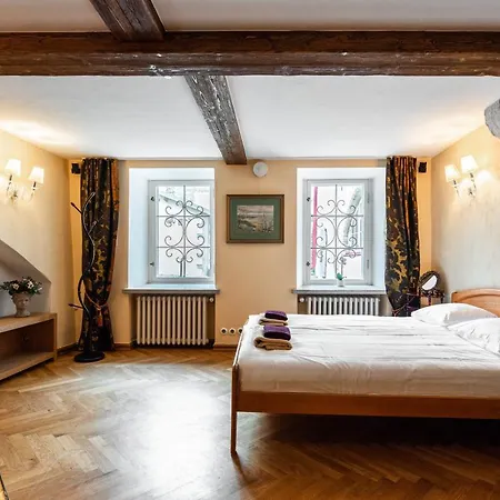 Airhome - Tree Spirit * タリン