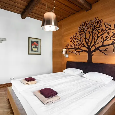 Airhome - Tree Spirit * Tallinn