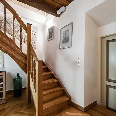 Airhome - Tree Spirit タリン