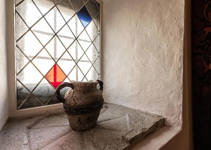 Airhome - Tree Spirit טאלין