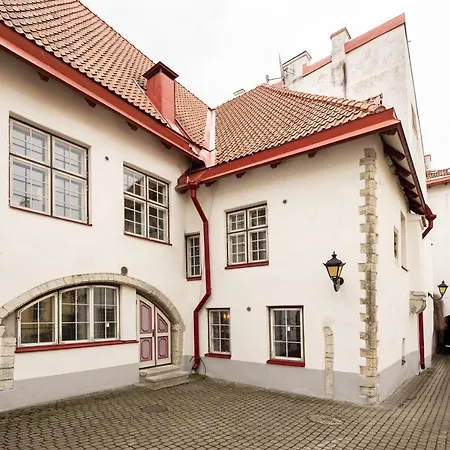 Airhome - Tree Spirit Ταλίν