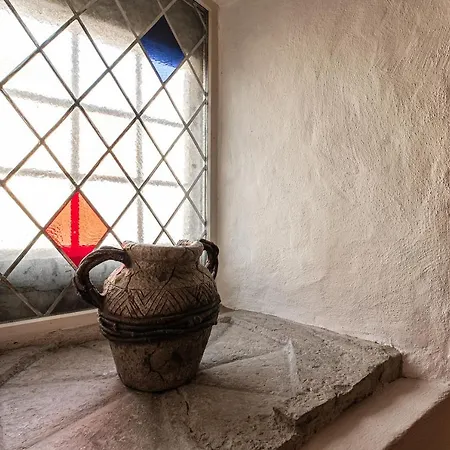 Airhome - Tree Spirit Ταλίν