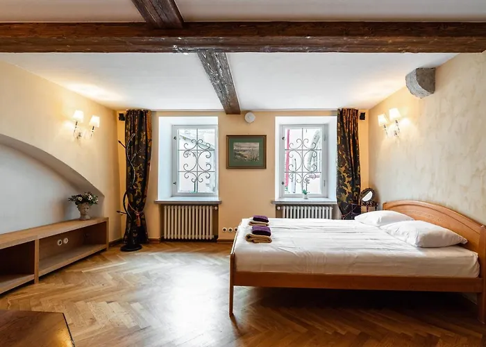 Airhome - Tree Spirit * Tallinn