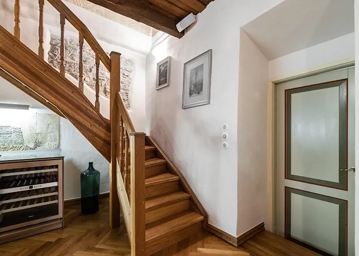 Airhome - Tree Spirit Tallinn