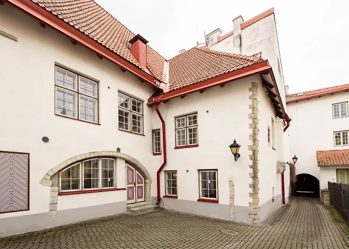 Airhome - Tree Spirit Tallinn